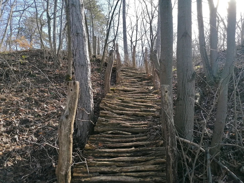 Image uploaded by Szabolcs