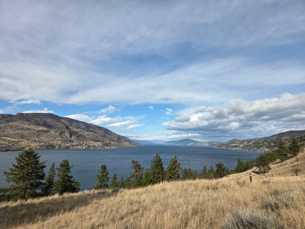 GIF diunggah dening Aiden