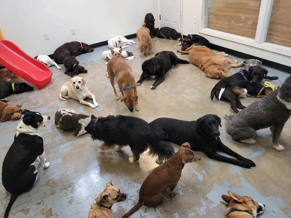 GIF uploaded by Brendon