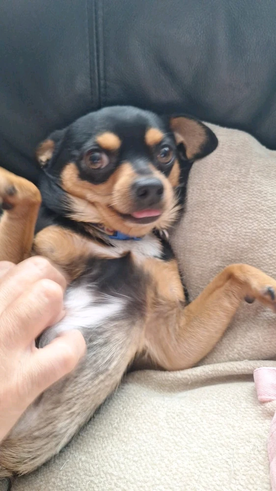 GIF uploaded by DezzieDee