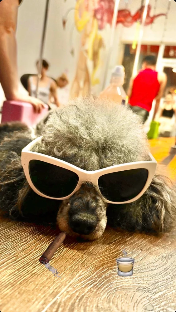 Image uploaded by Lucy