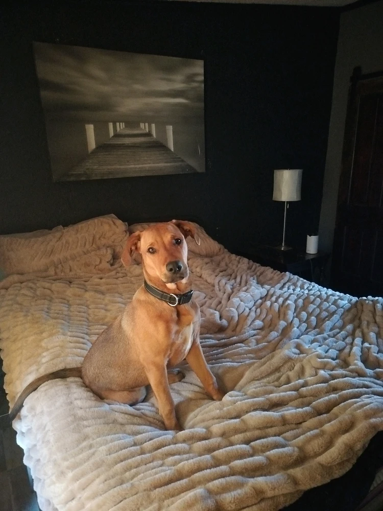 GIF uploaded by Jeffery