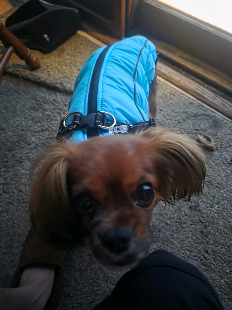 Image uploaded by Dean Berry