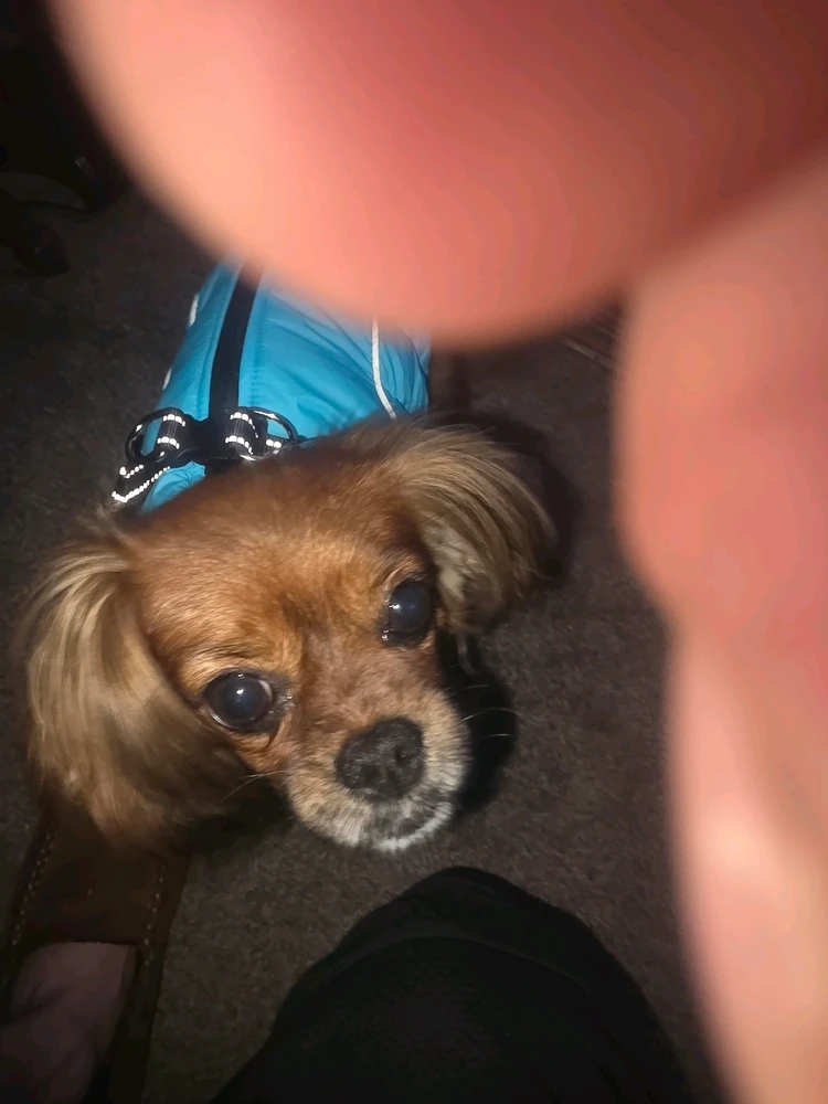 Image uploaded by Dean Berry