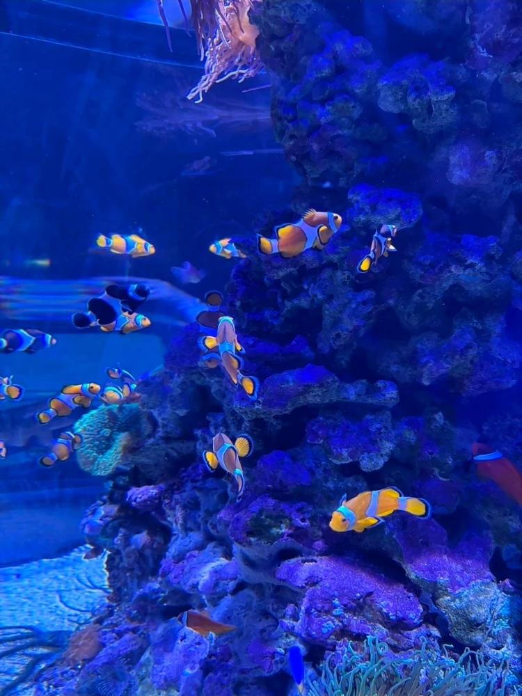 GIF caricata da Anthony