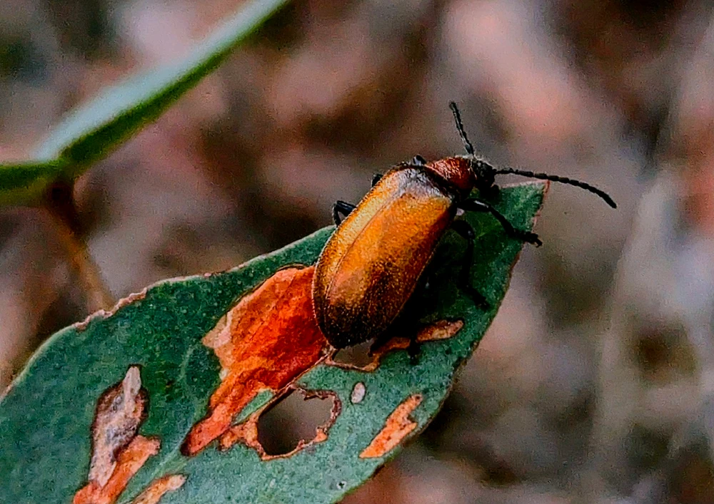 GIF uploaded by Chris