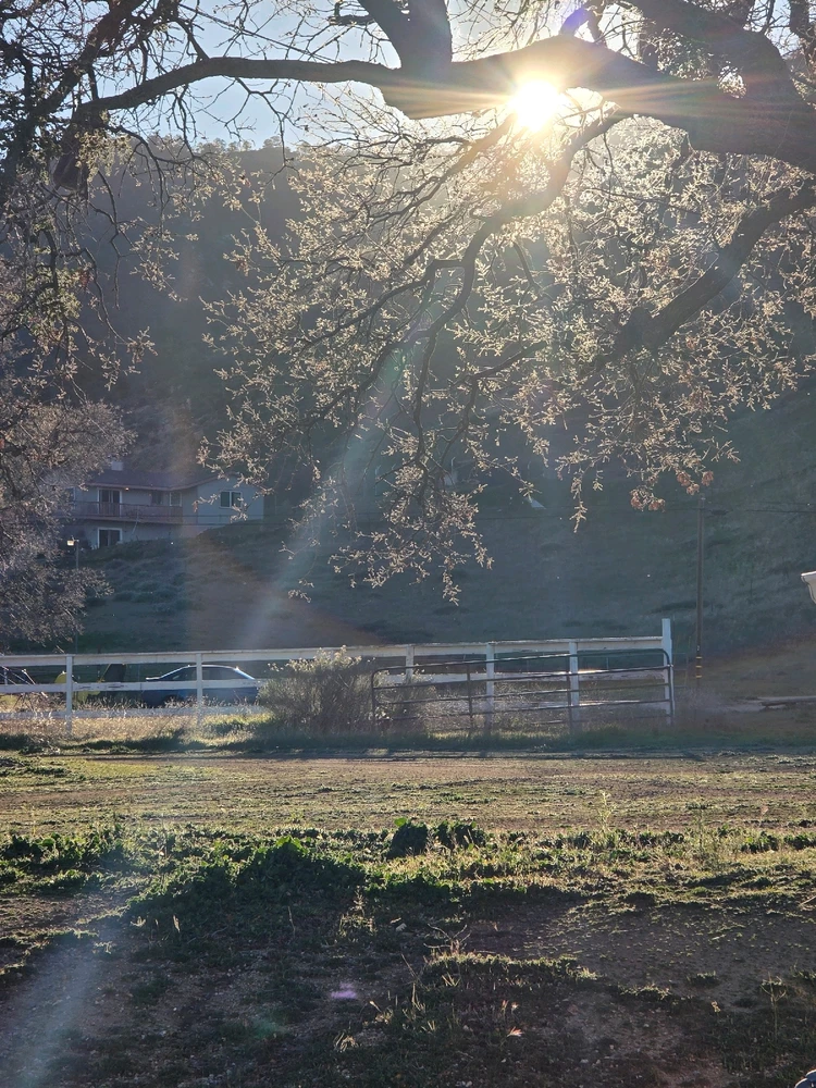 Image uploaded by Jose