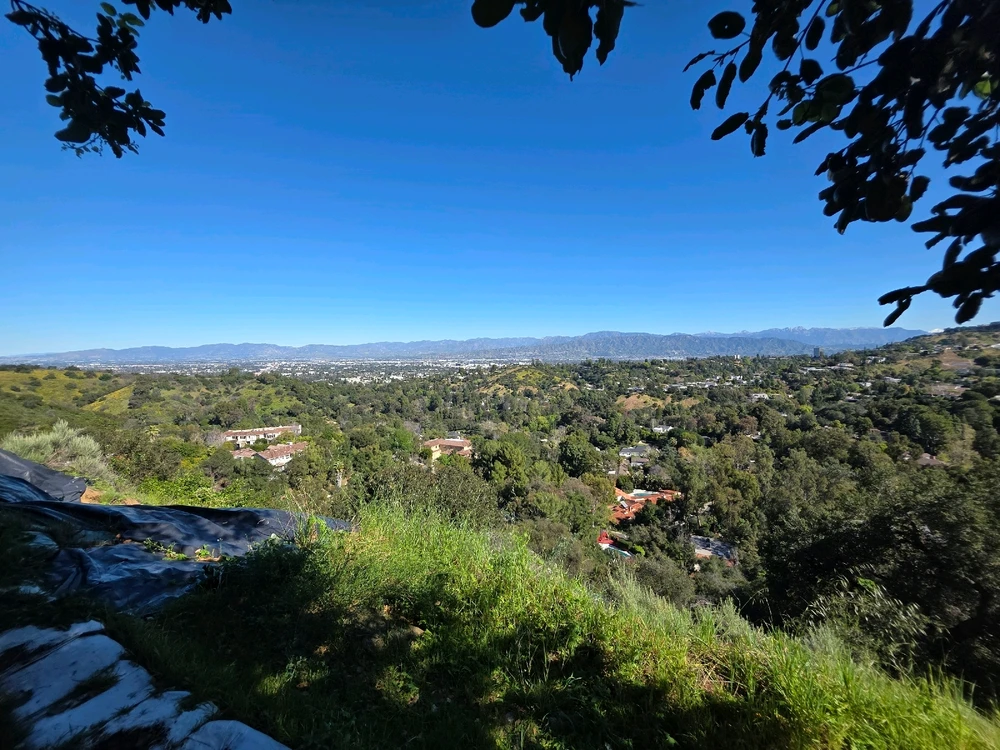 Image uploaded by Jose