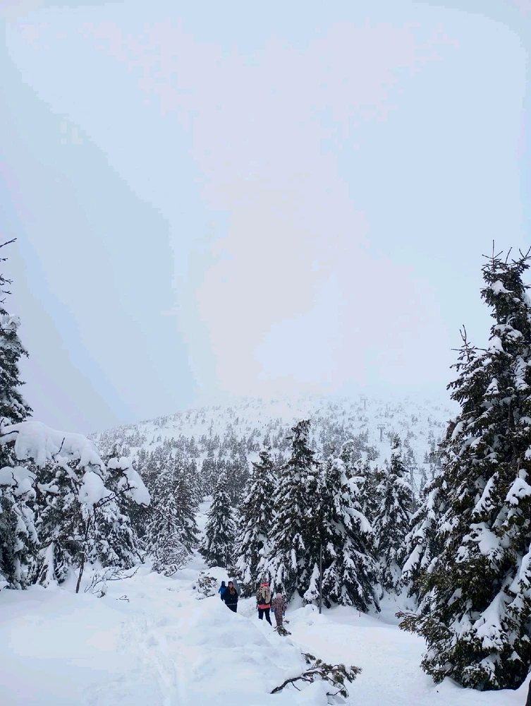 Obrázek nahrál Helenka - Wensdy