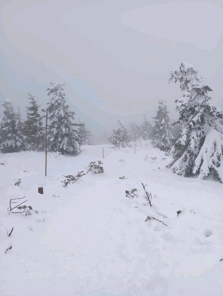 Obrázek nahrál Helenka - Wensdy