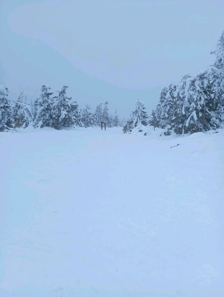 Obrázek nahrál Helenka - Wensdy