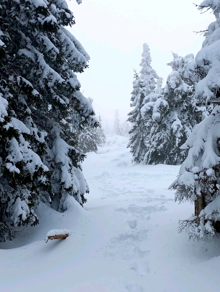 Obrázek nahrál Helenka - Wensdy