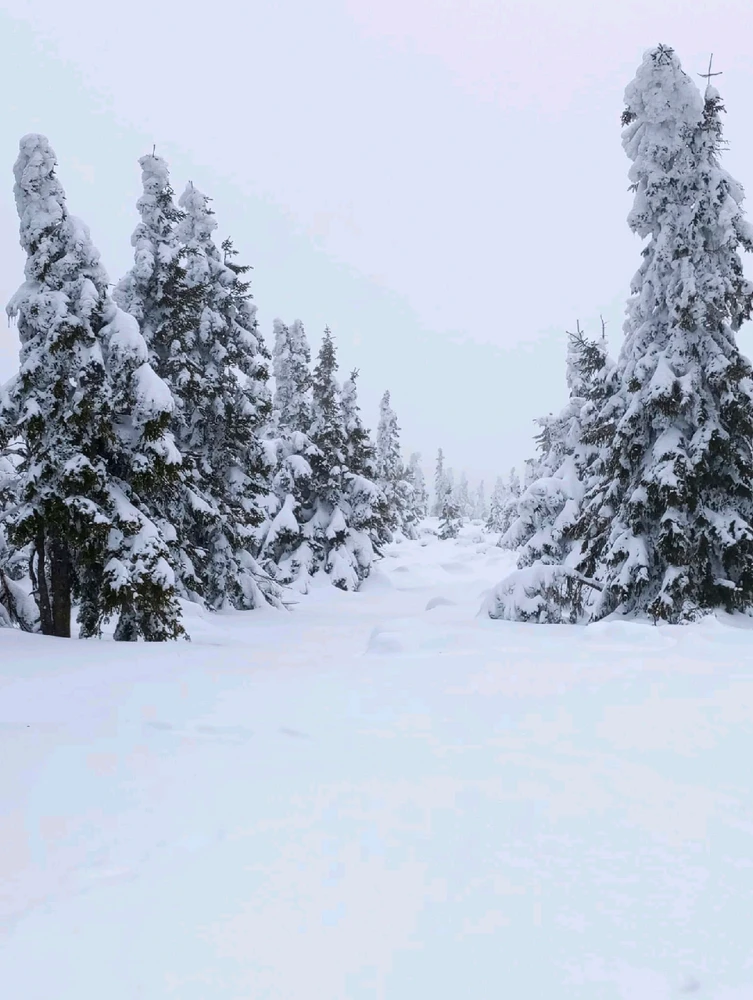 Obrázek nahrál Helenka - Wensdy