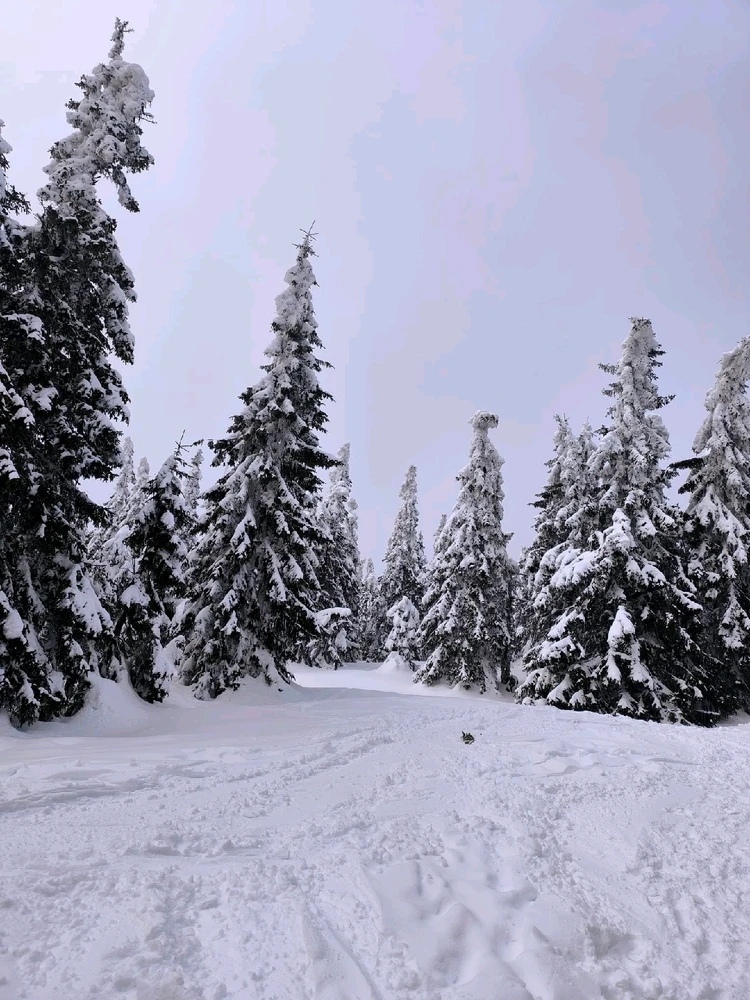 Obrázek nahrál Helenka - Wensdy