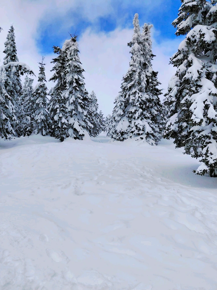 Obrázek nahrál Helenka - Wensdy