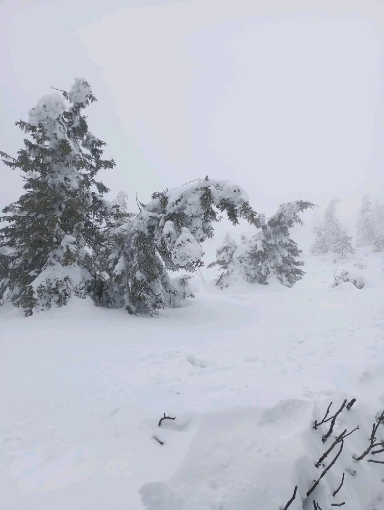 Obrázek nahrál Helenka - Wensdy