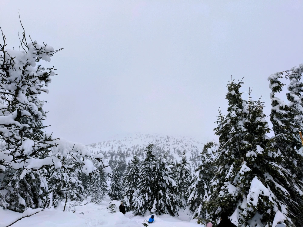 Obrázek nahrál Helenka - Wensdy