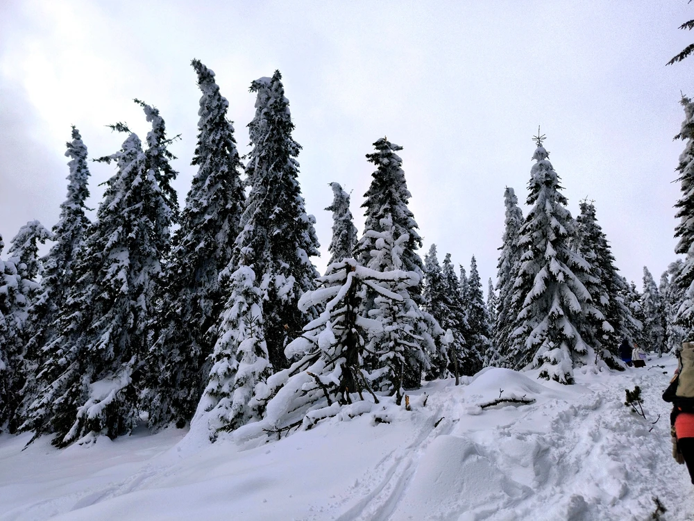 Obrázek nahrál Helenka - Wensdy