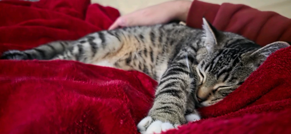 Image uploaded by Michael