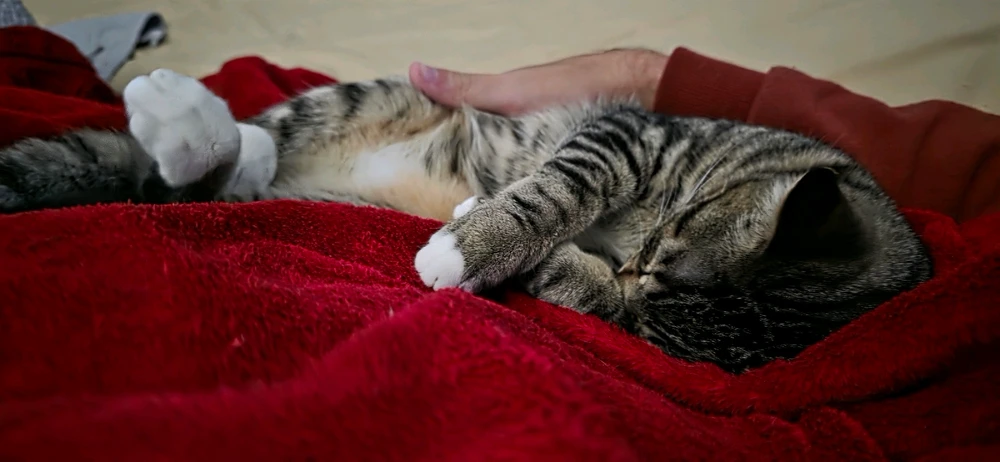 Image uploaded by Michael