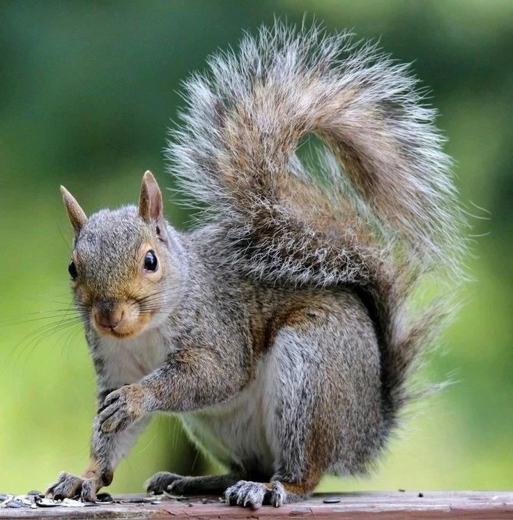 Image uploaded by Jessica