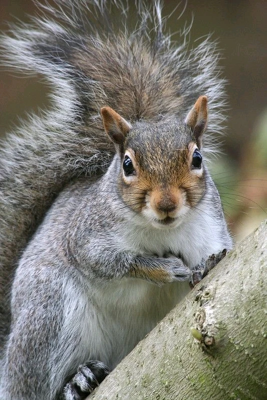 Image uploaded by Jessica