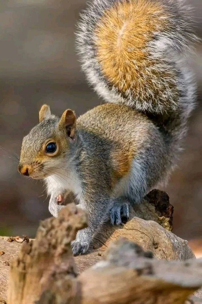 Image uploaded by Jessica