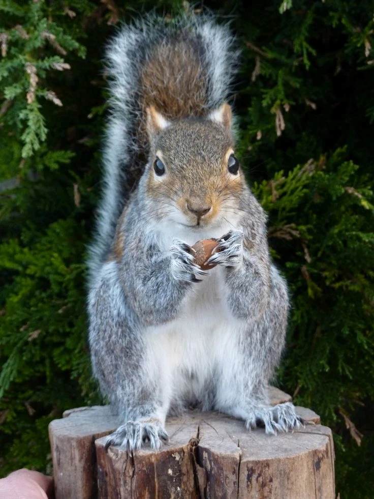 Image uploaded by Jessica