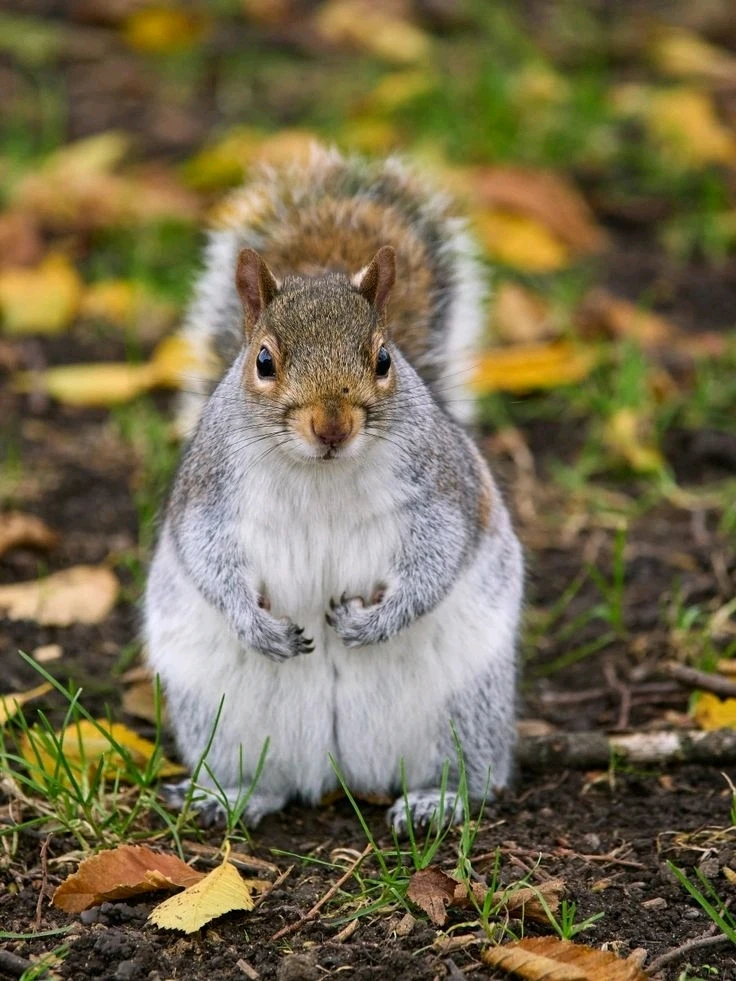 Image uploaded by Jessica