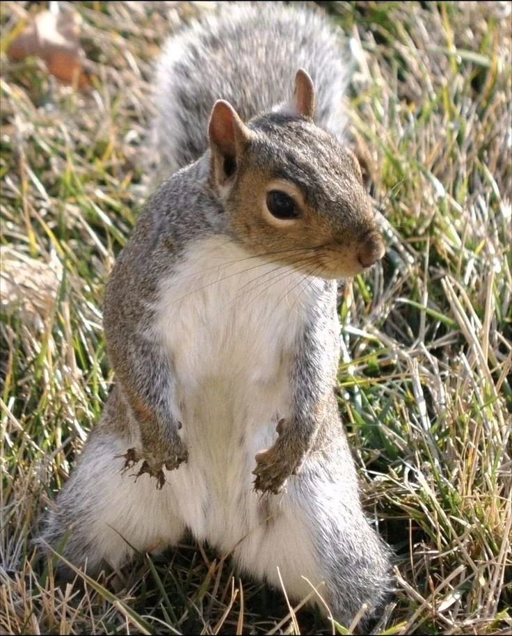 Image uploaded by Jessica