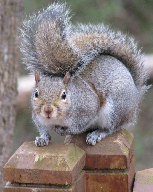 Image uploaded by Jessica