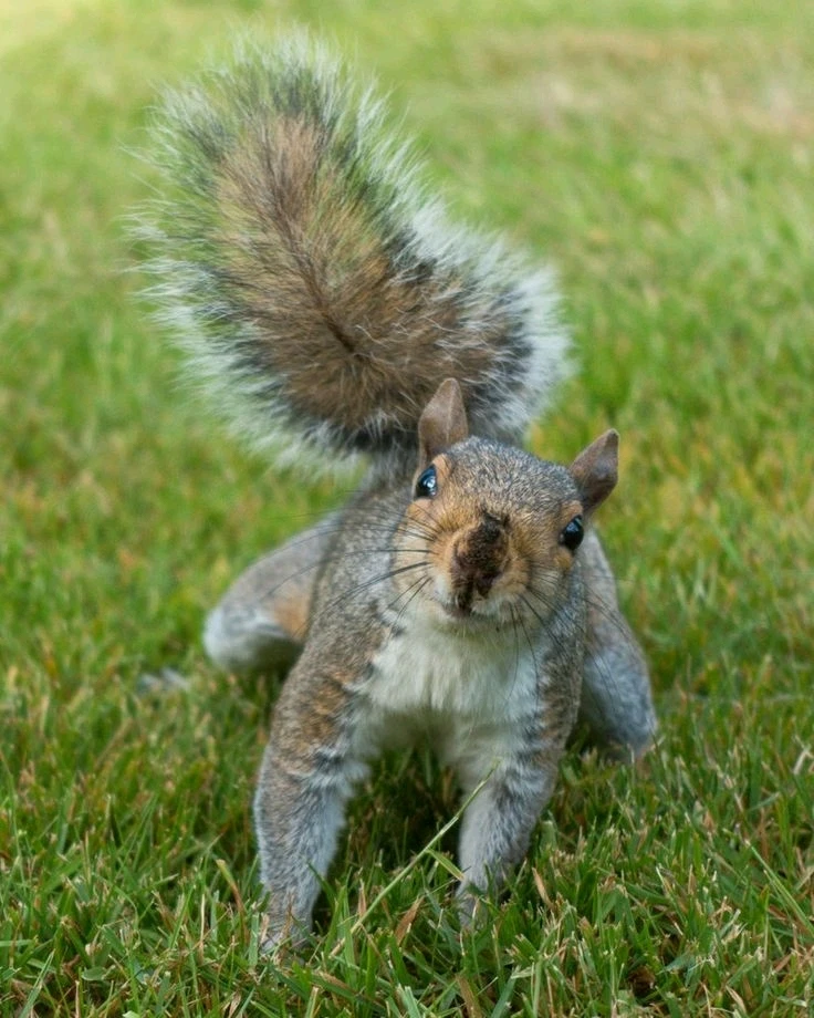 Image uploaded by Jessica