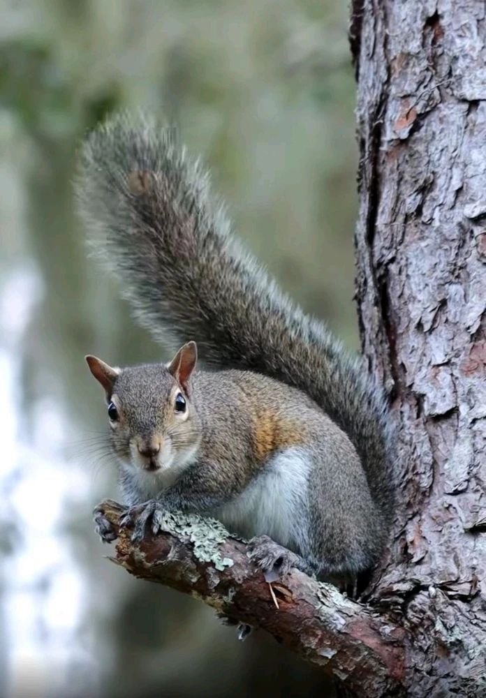 Image uploaded by Jessica