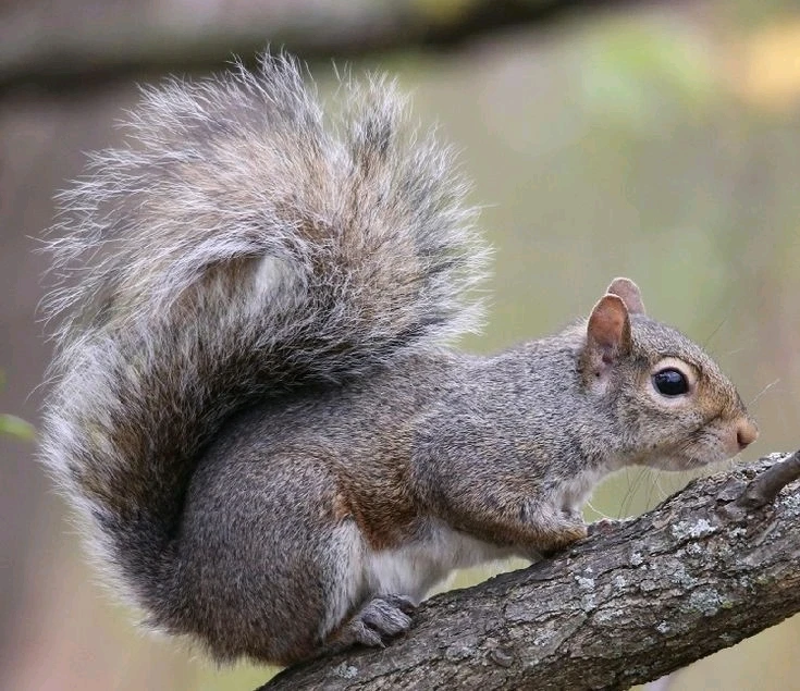 Image uploaded by Jessica