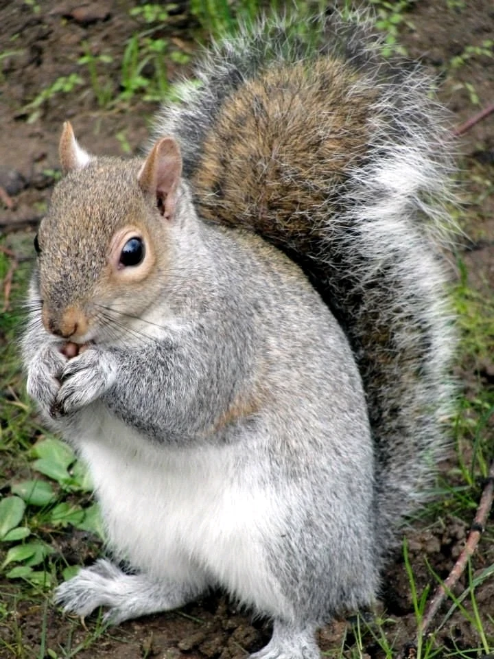 Image uploaded by Jessica