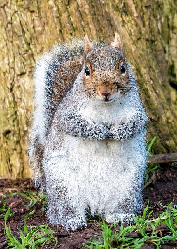 Image uploaded by Jessica