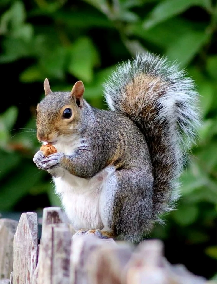 Image uploaded by Jessica