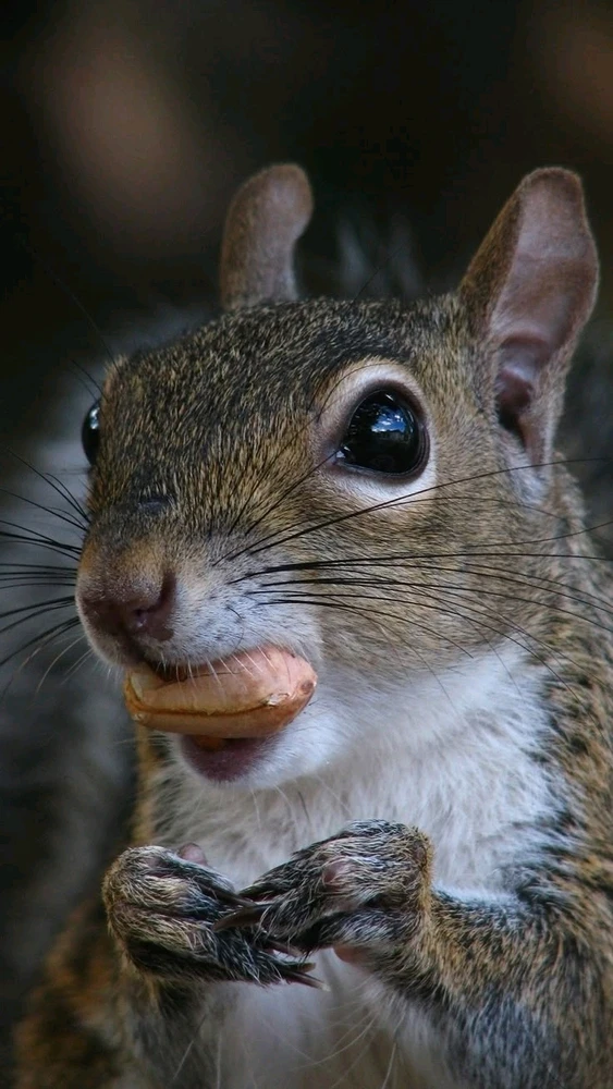 Image uploaded by Jessica