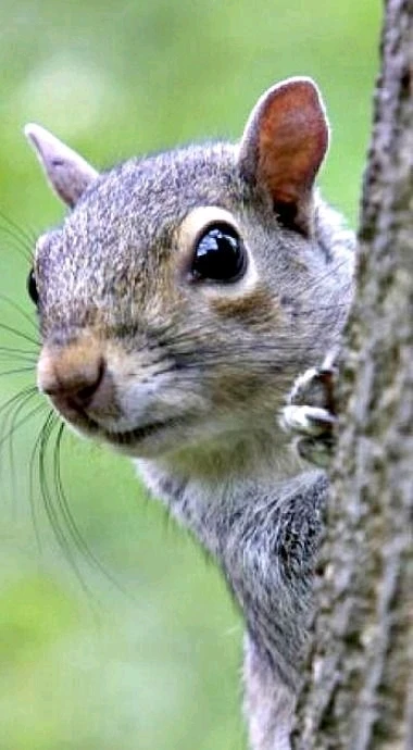 Image uploaded by Jessica