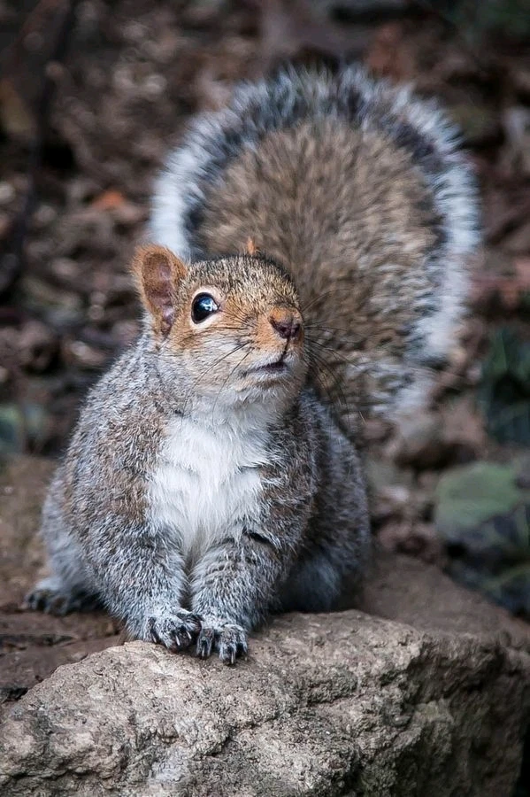 Image uploaded by Jessica