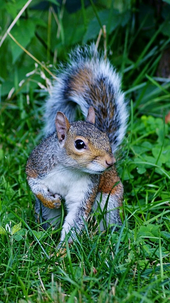 Image uploaded by Jessica