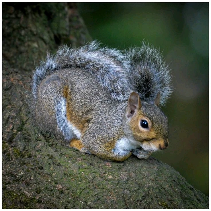 Image uploaded by Jessica