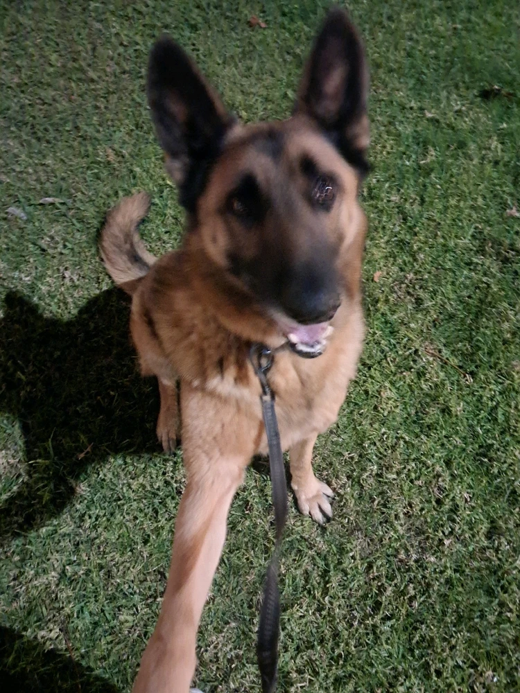 GIF uploaded by José