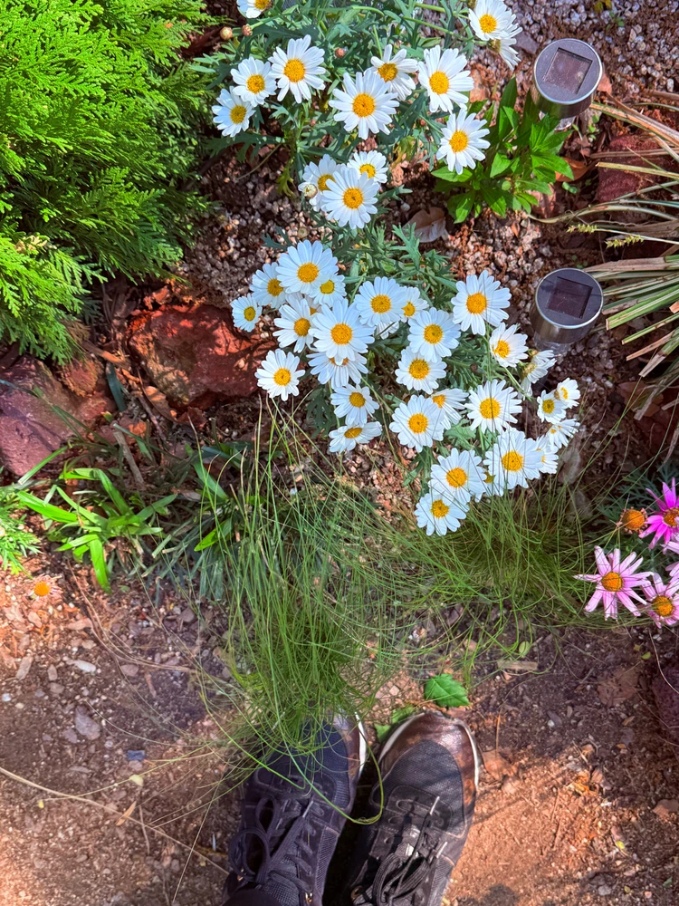 GIF diunggah dening cy