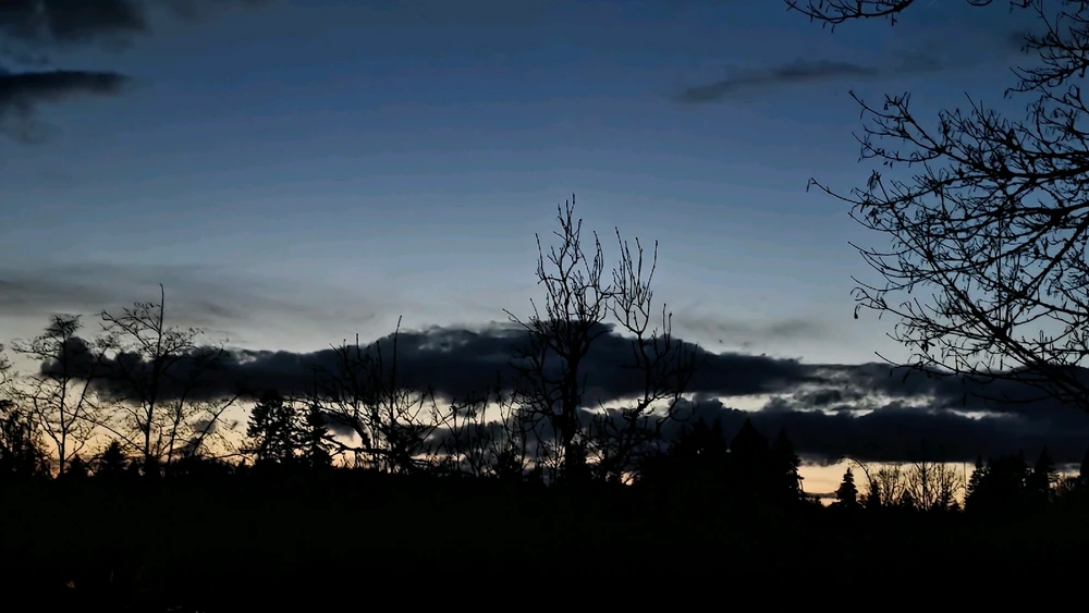 GIF uploaded by AlwaysSkeptical