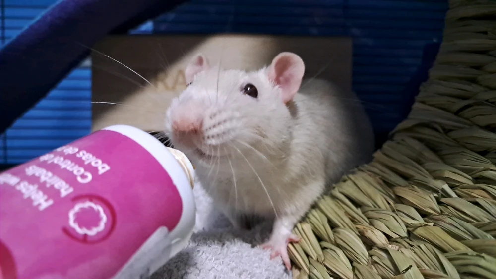 Image uploaded by Tiera