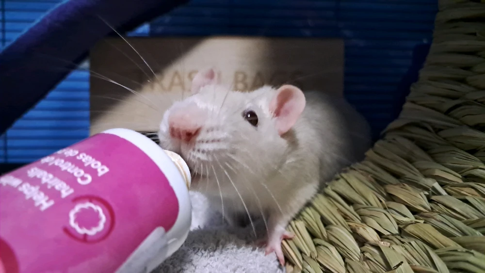 Image uploaded by Tiera