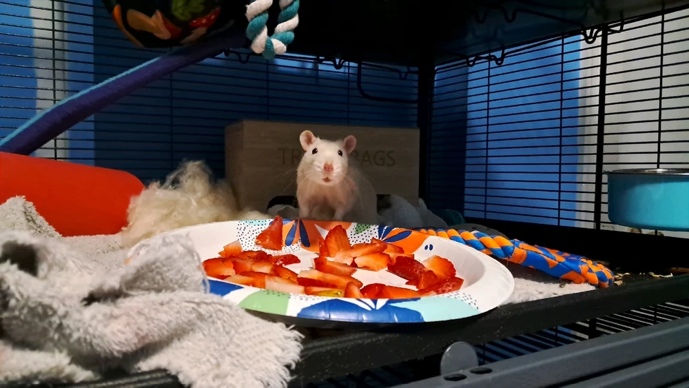 Image uploaded by Tiera