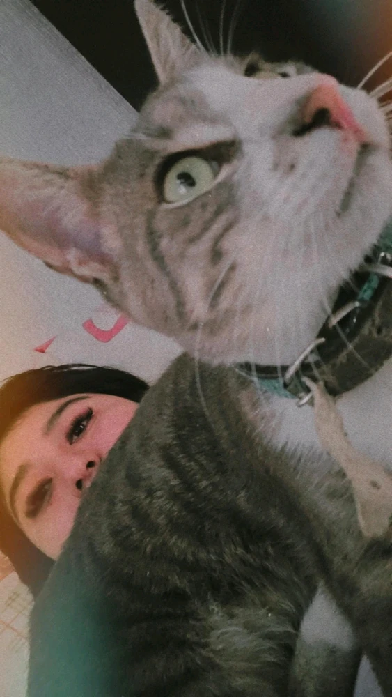 GIF subido por Coris