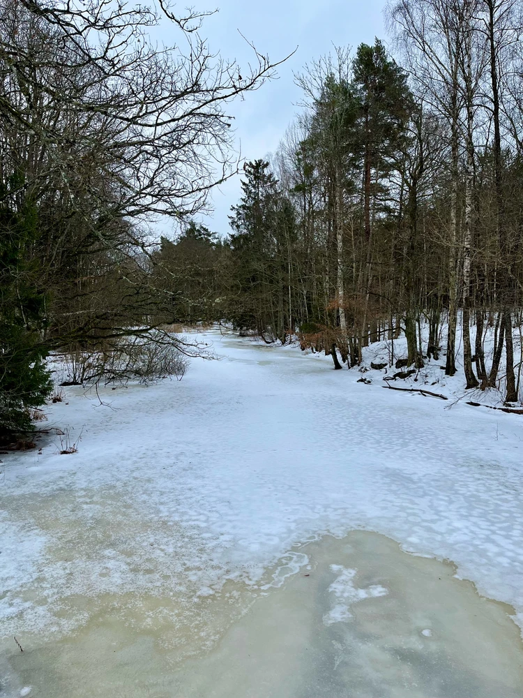 Image uploaded by Fredric